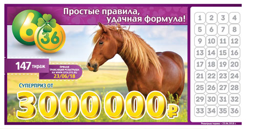 Лотерея 6 из 36 тираж 147 с лошадью