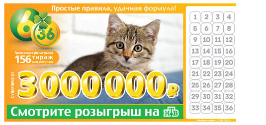 Лотерея 6 из 36 тираж 156 с котенком