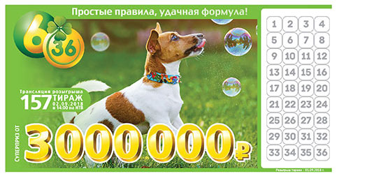 Лотерея 6 из 36 тираж 157 с собакой