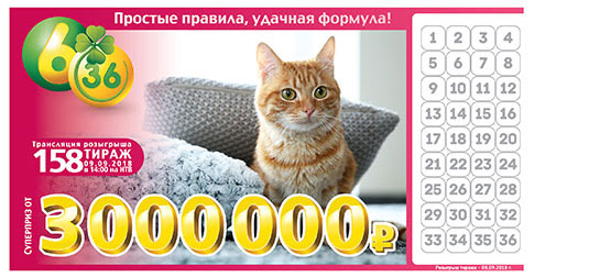 Лотерея 6 из 36 тираж 158 с рыжим котом