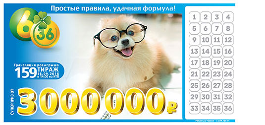 Лотерея 6 из 36 тираж 159 с рыжей собакой