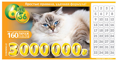 Лотерея 6 из 36 тираж 160 с персидской кошкой
