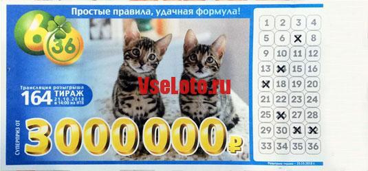 Лотерея 6 из 36 тираж 164 с котятами