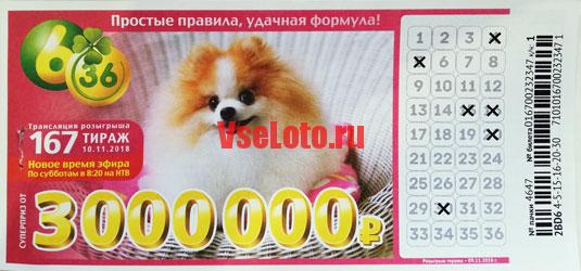 Лотерея 6 из 36 тираж 167 с рыжей собакой