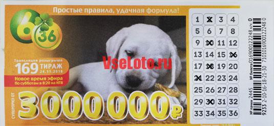 Лотерея 6 из 36 тираж 169 с белым щенком
