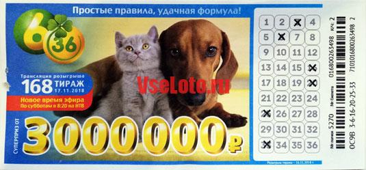 Лотерея 6 из 36 тираж 168 с таксой и кошкой