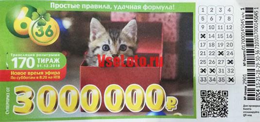 Лотерея 6 из 36 тираж 170 с полосатым котенком