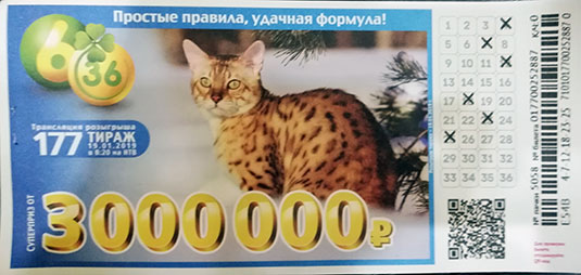 177 тираж лотереи 6 из 36 с рысью