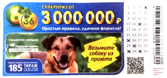 185 тираж лотереи 6 из 36 с собакой