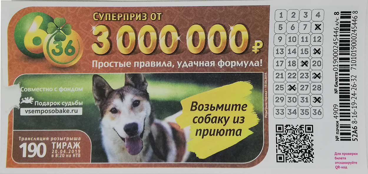 190 тираж лотереи 6 из 36 с собакой из приюта