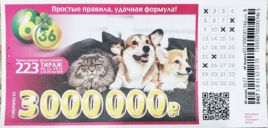 Билет лотереи 6 из 36 тиража 223